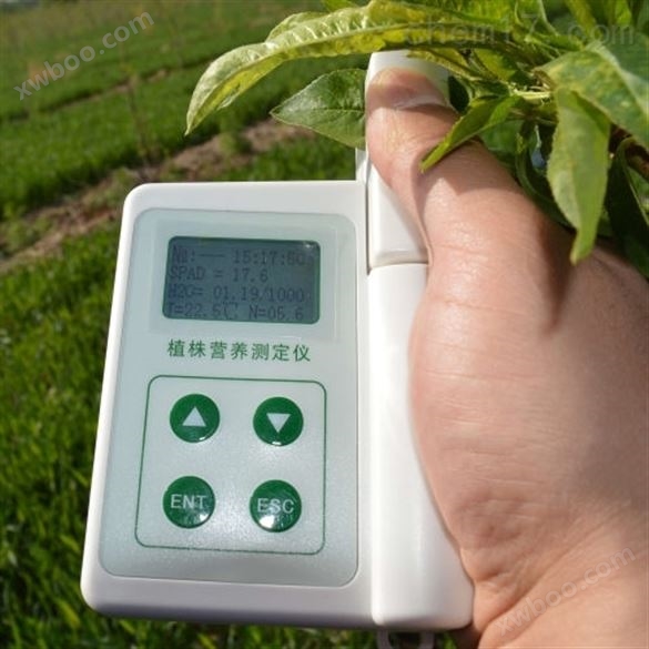 叶片营养诊断仪 手持式植物养分速测仪