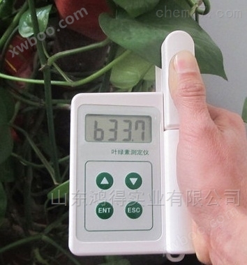植物叶绿素仪HD-SY-S02