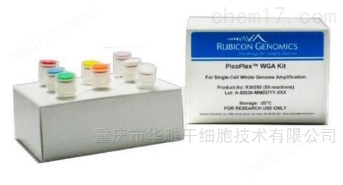 Rubicon R30050 单细胞全基因组扩增试剂盒