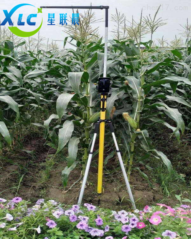 大量程便携式玉米株高测量仪XCZG-2生产厂家
