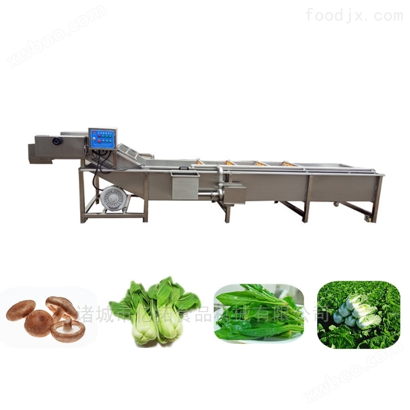 叶菜类蔬菜清洗机