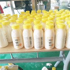 新疆酸奶加工设备 奶制品饮料生产线