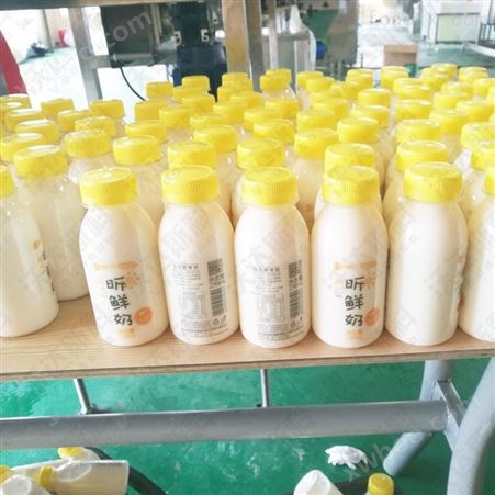 袋装酸奶加工设备 乳品生产线