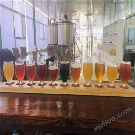小型啤酒厂精酿啤酒设备 300升啤酒机械