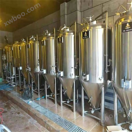 云南2000升啤酒设备 酿酒机械