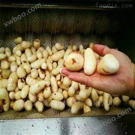 红薯清洗去皮机 多功能洗薯机