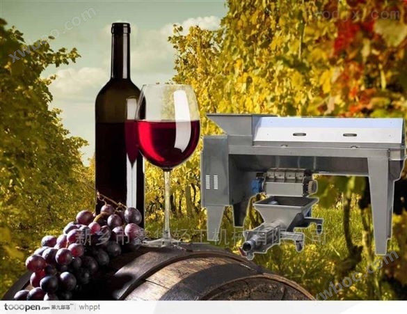 葡萄酒机械生产线