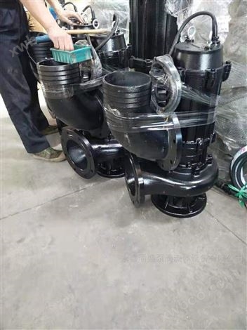 WQ18-30QGD高效绞刀切割式排污泵