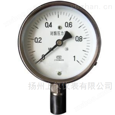 YTS-100耐酸压力表