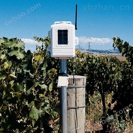美国DAVIS无线农业气象站农作物智能监测