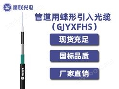 GJYXFHS -2芯，管道用蝶形引入光缆，电力光缆厂家，室内光缆价格