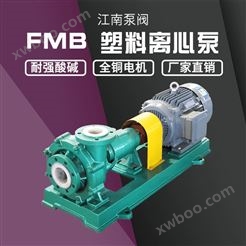 JN/江南 FMB80-65-250工程塑料卧式化工泵 循环釜内料用泵 耐酸腐蚀离心泵