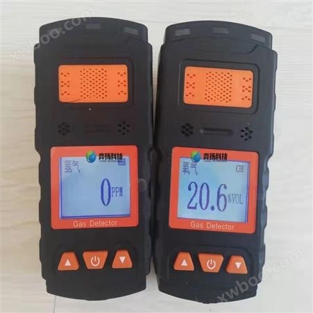 便携式氧气气体检测仪 高温氧气浓度检测仪 密闭容器氧气浓度检测仪货号H0219