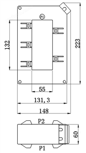 TAH13255系列立式穿芯盒式交流电流互感器                            (TAH13255系列)