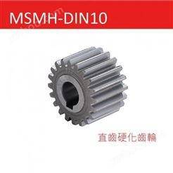 MSMH-DIN10 直齿硬化齿轮2