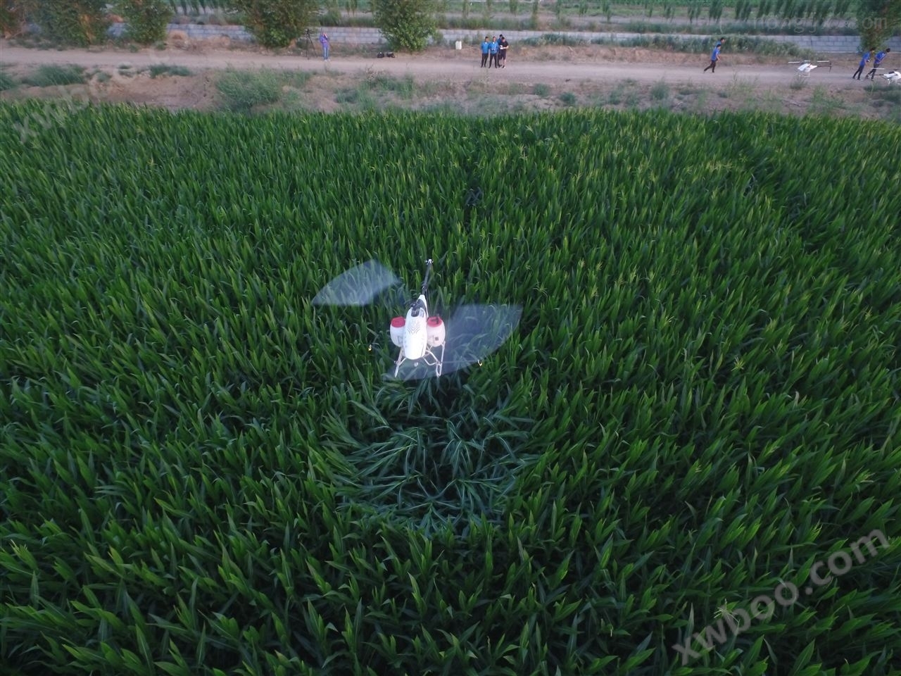 农用无人机 超低空生态农业植保农药喷洒直升机
