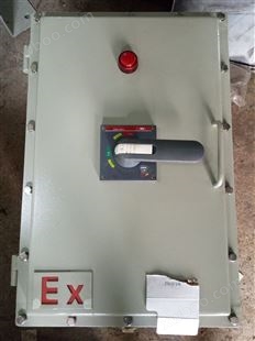 BXQ51 供应防爆动力照明配电箱-厂用防爆照明配电箱，洛平防爆专业生产各种防爆箱