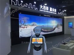 湖南湘潭市博物馆展厅迎宾讲解机器人