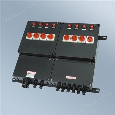 BXD8050 系列防爆防腐动力配电箱 (ⅡC、DIP)