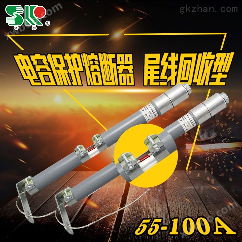 高压电容保护熔断器BR1-12KV/100尾线回收型