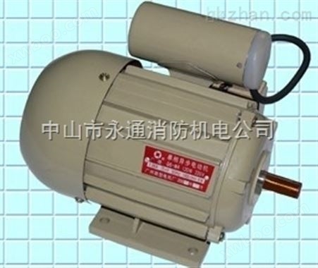 广州微型电机厂卧式16轴电机