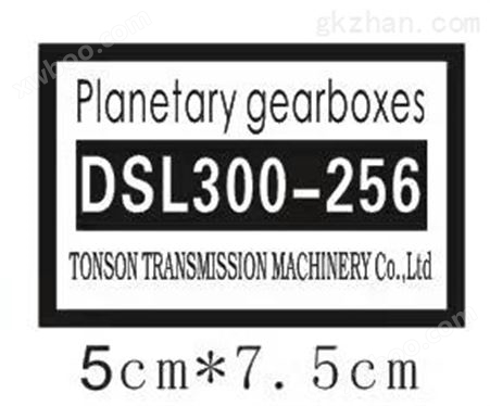 DSL300-256DSL东晟行星减速机