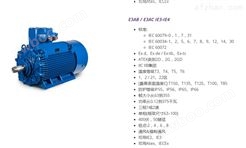 意大利CEMP防爆电机ATL 220 2中国公司