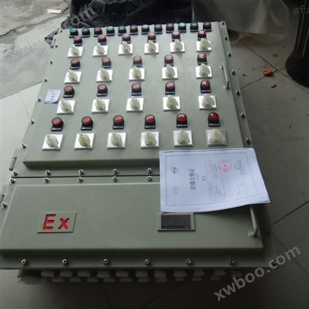 BXK-T隔爆型防爆电控箱