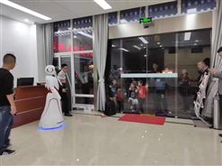 政務服務大廳迎賓接待機器人哪個品牌好?