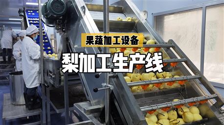 NFC梨汁生产线 - 广州项目